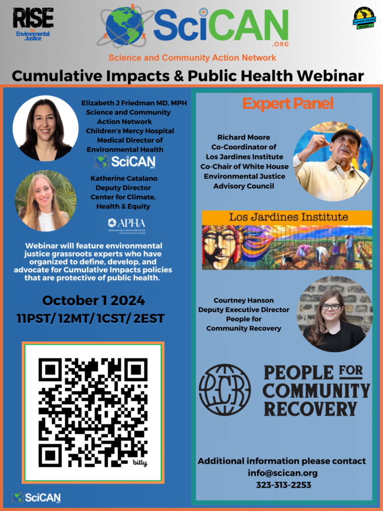 Cultural Impacts Panel Flyer