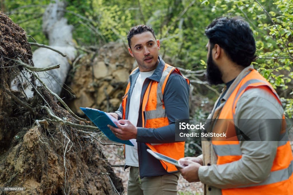 Istockphoto 2078051720 1024x1024